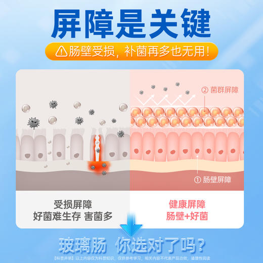 LifesFlora 舒伯特 肠博士氨基酸益生菌 28条/盒 商品图4