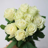 【顺丰冷链/中通空运/EMS空运】玫瑰鲜花任选4扎包邮 云南基地现采现发直发 每一款都是心动花 红玫瑰 黄玫瑰 卡布玫瑰 商品缩略图1