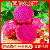 正宗红心火龙果5斤整箱应季新鲜水果10批发包邮3红肉海南金都一号 商品缩略图0