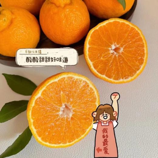 不知火丑橘 商品图5