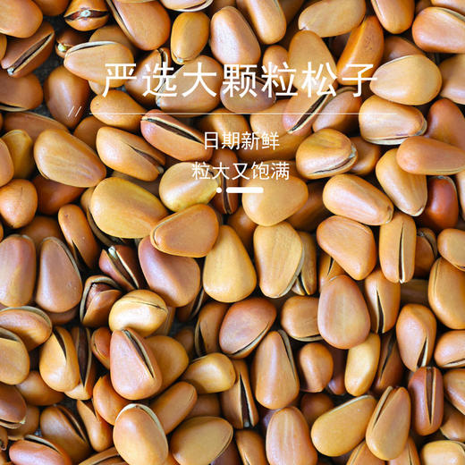 【自营】花家盛世 0添加东北松子550g圆罐装新鲜健康美味 HJSSJG032
 商品图1