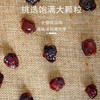 花家盛世 樱桃干220g圆罐装规格HJSSJG049
 商品缩略图2