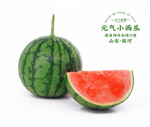 清甜夏日的味道🍉【元气小西瓜-珍珠红】一丝丝清甜满足吃西瓜大快朵颐的心❤️西瓜爱好者一定要试试！皮薄肉厚💦汁水多！甜度高🍹 商品图5