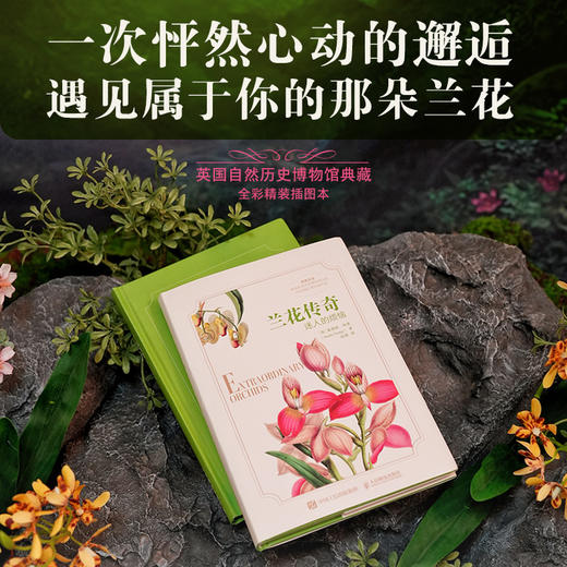兰花传奇：迷人的烦恼 英国自然历史博物馆典藏 全彩精装插图本 赠送精美装饰画 商品图0