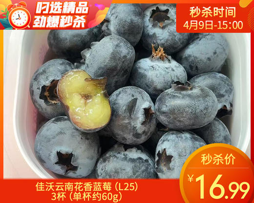 【到手3杯】佳沃云南花香蓝莓（L25）/3杯（单杯约60g） 商品图0