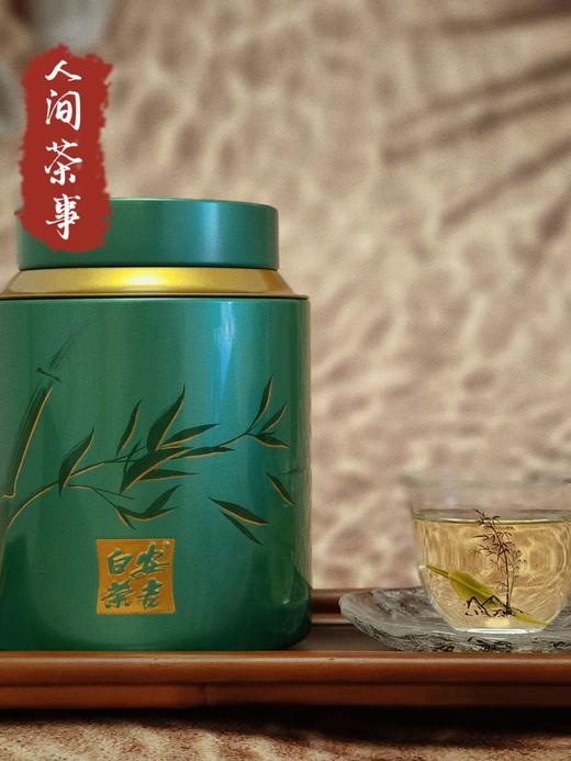 【2026.安吉白茶】小绿罐特级50g（买2罐送手提） 商品图1