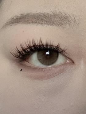 huohuocon 日抛 橄榄基底 直径14.2mm