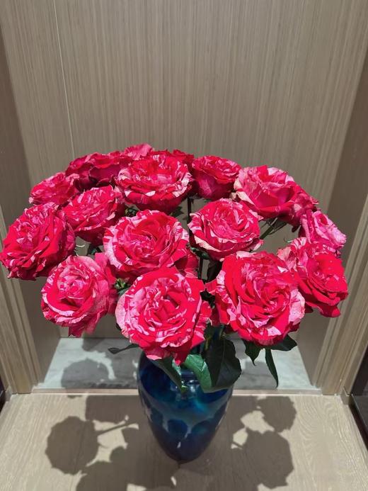 A级幸运女神单头玫瑰5扎 商品图0