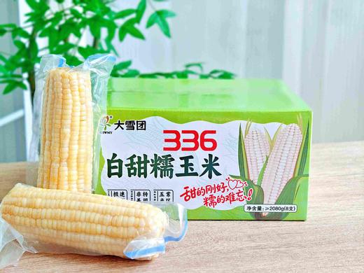【大雪团】五常336白甜糯玉米 糯唧唧甜滋滋 粒粒饱满 嫩到爆珠 复购爆品 商品图6
