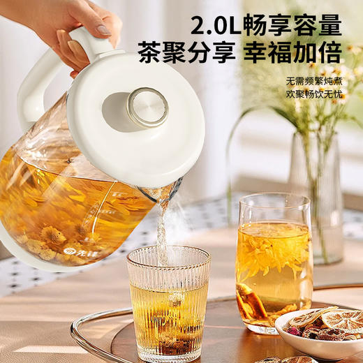 【自营】先锋RC-Z820D6电热水壶(养生壶)2.0L煮茶器花茶壶多功能炖煮保温预约全自动 商品图2