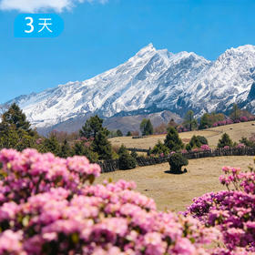 老药山&虎跳峡 探寻香格里拉的小瑞士 杜鹃花季观雪山花海 世界十大经典徒步短线 3日版