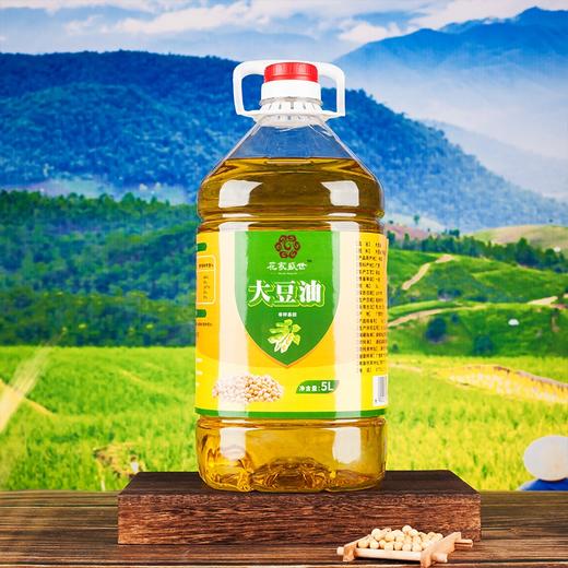 花家盛世 大豆油5L 非转基因家用烘焙炒菜烹饪用油	HJSS001 商品图1