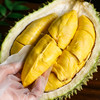 【顺丰空运包邮】泰国进口鲜果猫山王榴莲 泰国猫山王榴莲 A果整果 商品缩略图1