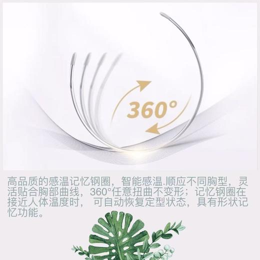 迪兰多兔耳朵水晶杯轻盈薄爽薄而有型适合微丰满胸型 商品图10