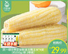 庆一绿农带皮锁鲜速冻糯玉米*4袋（约550g/袋 2根装）生产日期: 10月13日 商品缩略图0