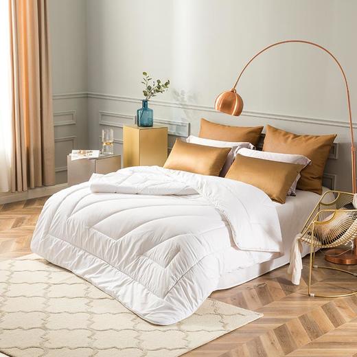 罗莱防螨抗菌澳洲羊毛被 商品图1