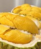 顺丰包邮【托曼尼榴莲-泰国饕鬄级品种】软糯香甜•最接近猫山的口感 商品缩略图0