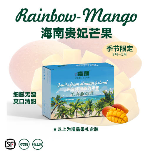 海南贵妃芒  果味浓郁 香甜丝滑 顺丰包邮 商品图0