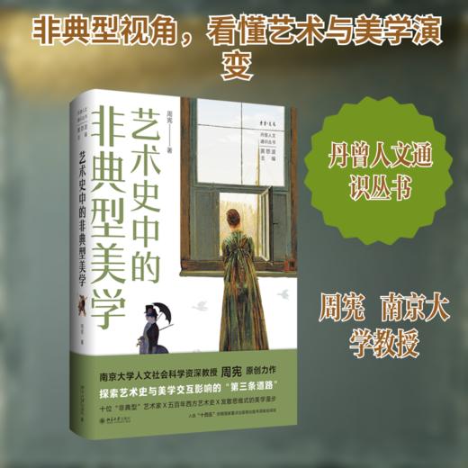 艺术史中的非典型美学 商品图0