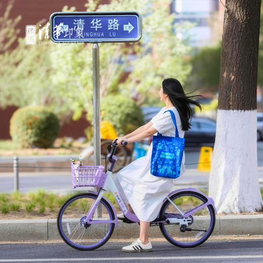 清华文创单肩包 商品图4