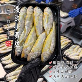 【闹妈海鲜】[液氮速冻]舟山小黄鱼 各种规格