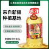 红果实新疆红花籽油5L食用油 【绿色认证】物理压榨 适合中式高温烹饪 /粮油调味 /食用油 /红花籽油 商品缩略图7