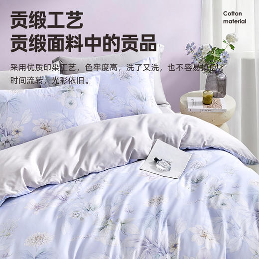 60支全棉贡缎四件套(兰溪) 商品图3