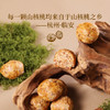 江南四雅方盒抱朴酥  咸香酥脆【均有礼袋邮寄】 商品缩略图3