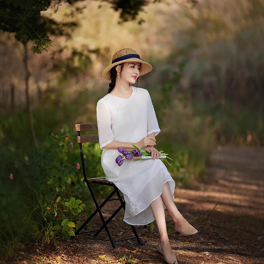 新中式苎麻连衣裙，改良旗袍圆领刺绣绣花国风a字裙TT-96308 商品图1