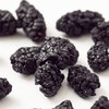 【自营】花家盛世 0添加桑葚干298g多巴胺罐装黑桑葚长白山宁夏青海特级精选道地产地直供 HJSSJG021
 商品缩略图1