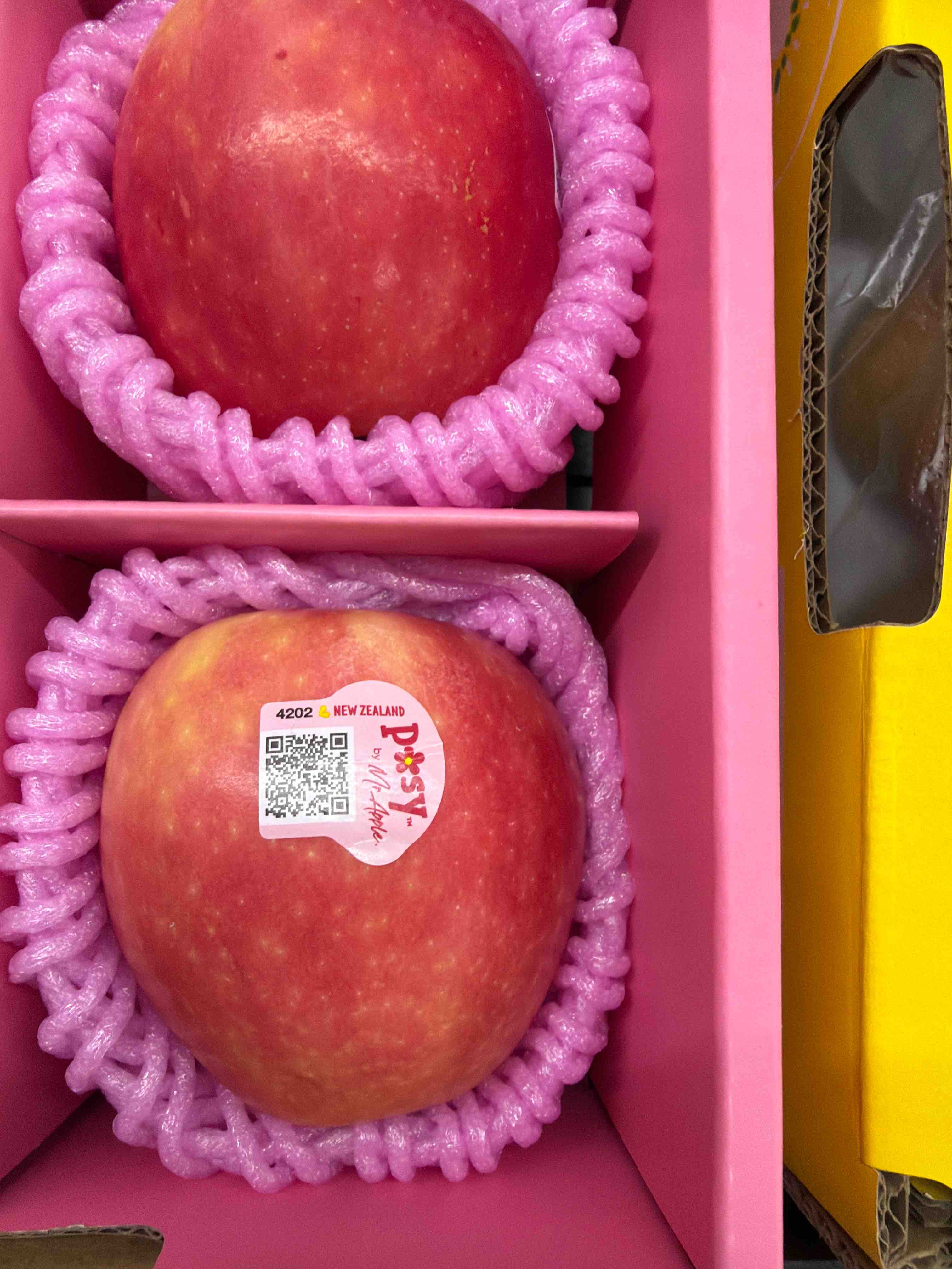 新西兰小花苹果（润达）