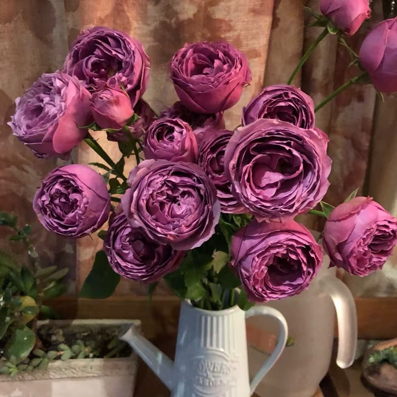 A级迷雾泡泡多头玫瑰3扎