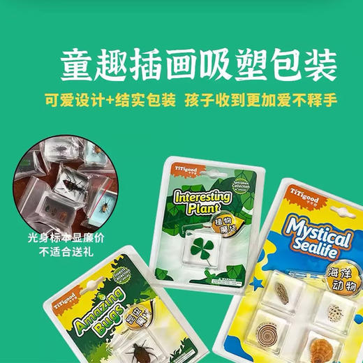 树脂标本昆虫标本真虫植物海洋学生礼物教学玩具豆形拳蟹标本-纪念日百货门店同款171093230 商品图1