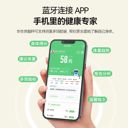 智能体脂秤 商品图2
