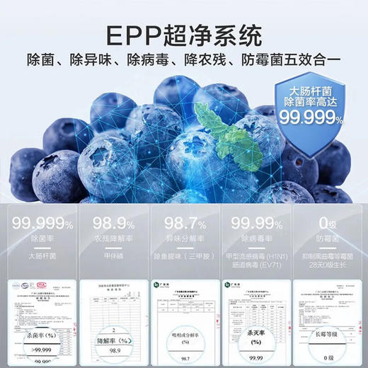 海尔（Haier）冰箱 BCD-585WGHFTH7S7U1 商品图13