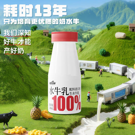 皇氏乳业百分百纯水牛乳180ml*12瓶 商品图4