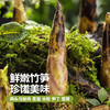 二头乌土猪肉麦青米饺 商品缩略图1