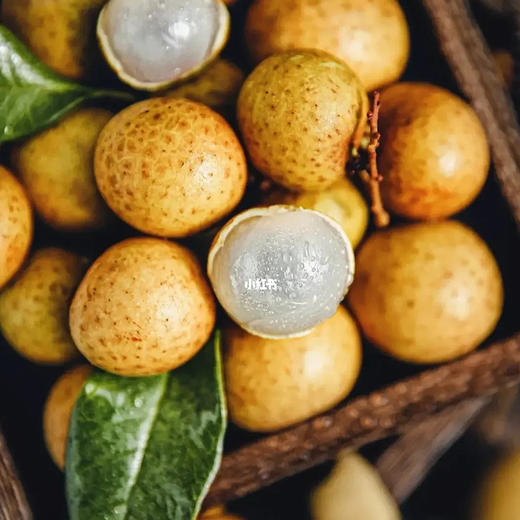 588型硕果满园礼包(约5200g) 商品图2