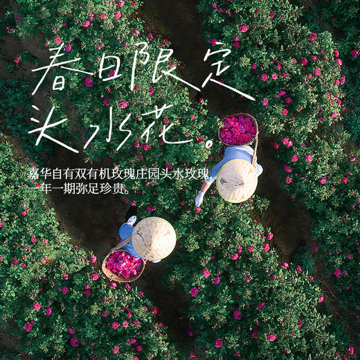 【嘉华鲜花饼】现烤头水花玫瑰饼 9枚礼盒 450g 15天保质期 商品图4