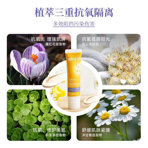 WELEDA维蕾德雪绒花儿童成人防晒乳 高级紫外线防护隔离霜 商品图3