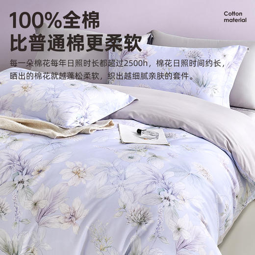 60支全棉贡缎四件套(兰溪) 商品图1