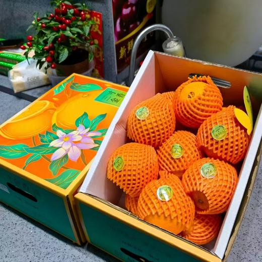 湖北宜昌秭归的伦晚橙 商品图1