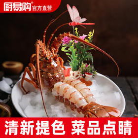 造景花草系列【14、15、16款】共贝壳底座三款，适于刺身造景，冷热菜及餐桌看台造景。