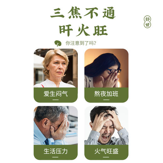 全控谷芝斛舒甘糕养润呵护葛根铁皮石斛灵芝水飞蓟籽油红枸杞姜黄 商品图1