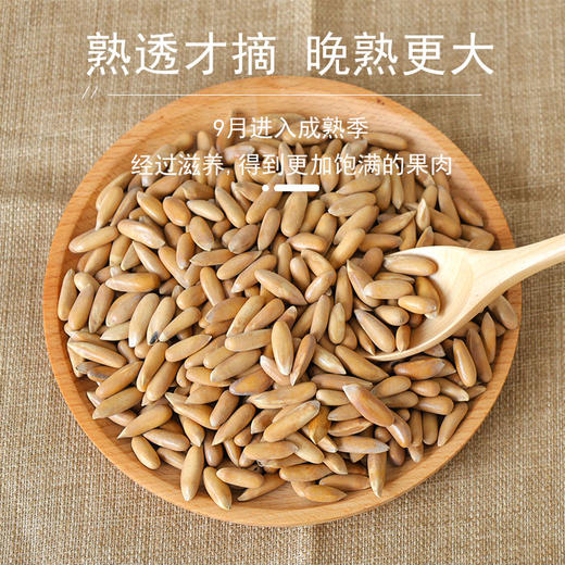 花家盛世 巴西松子450g圆罐装新鲜健康美味 HJSSJG034
 商品图2