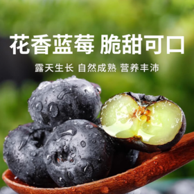 【云南花香蓝莓礼盒】22mm+巨无霸大果，脆甜爆浆，天然花香，一口补满春日元气~