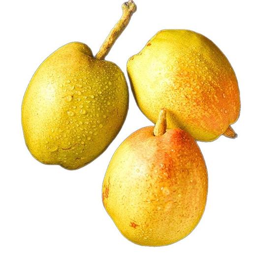 【产地直供❗️新鲜红香酥梨】产地直供现摘现发，果肉细腻脆嫩，汁水丰盈甜度高，解腻加餐，带来清爽脆甜体验，9斤整箱母梨子当季新鲜水果红香酥梨水果L 商品图4