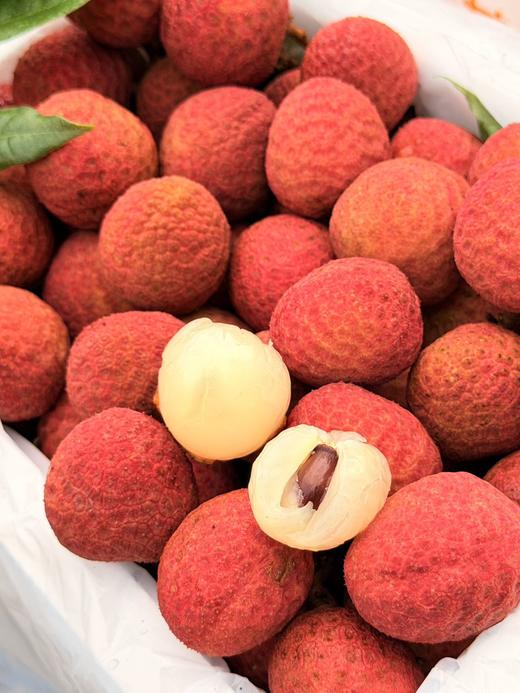 海南早熟荔枝新品种星荔 果型圆润 果肉饱满清甜 宛若羊脂 源头直采 树上熟 商品图1