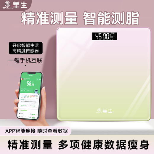 智能体脂秤 商品图1