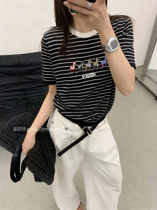 DYJ2602617绢丝小马刺绣条纹T 商品图0